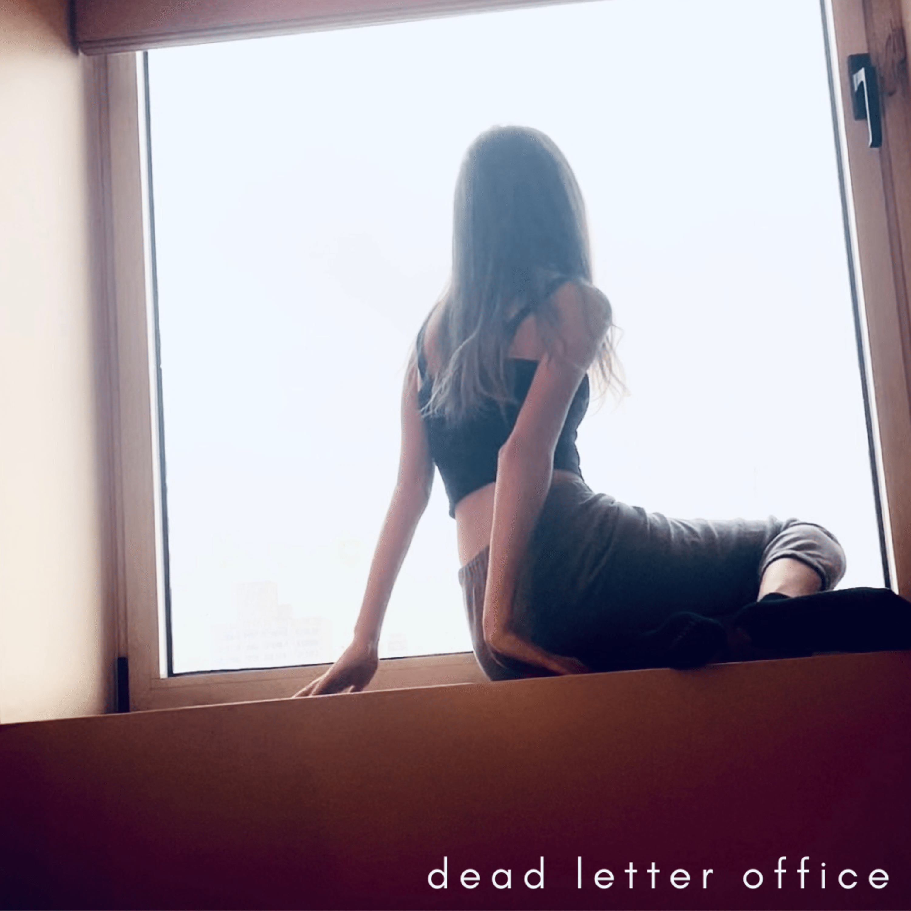 Cover for Dead Letter Office by Aerin Amelia