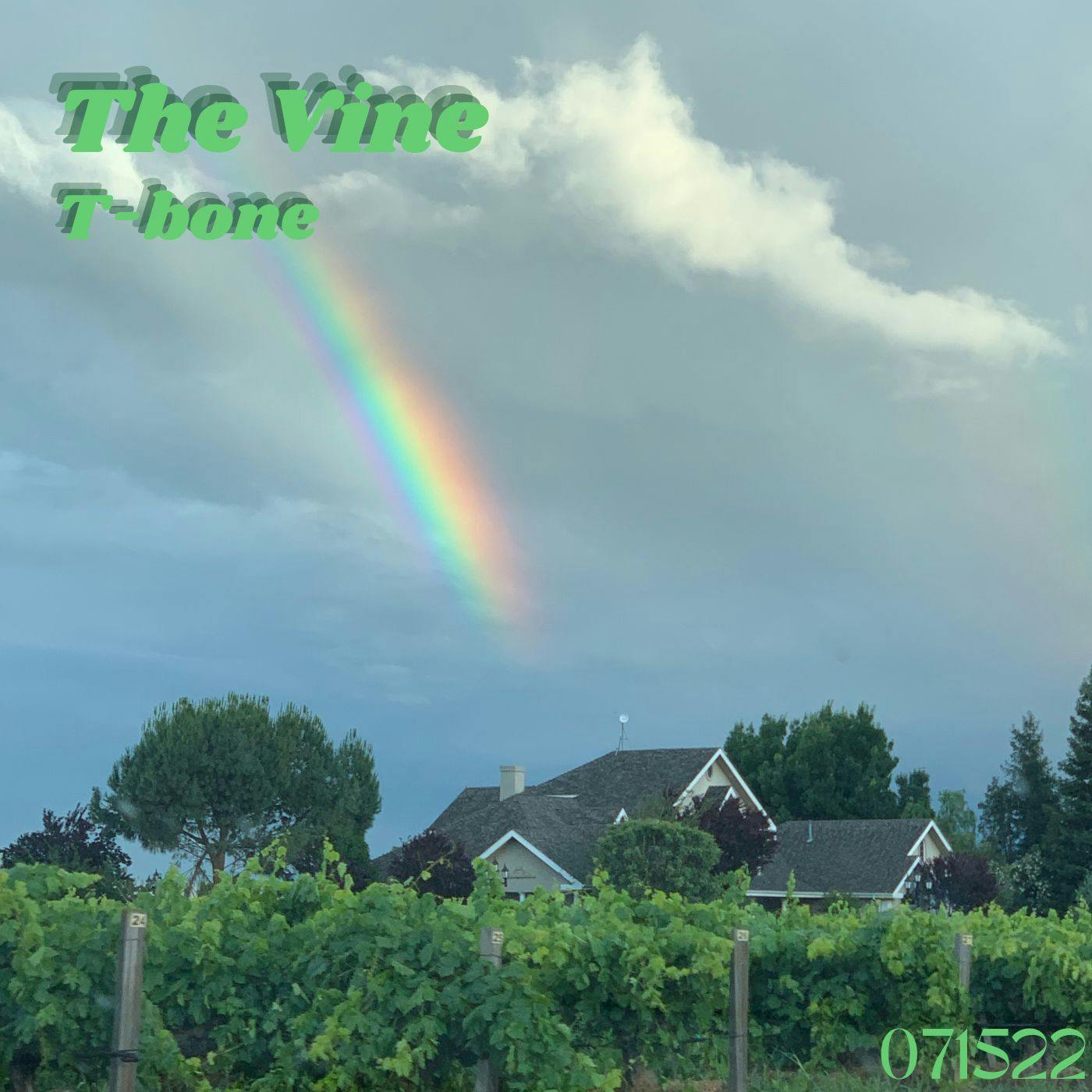 Cover for The Vine by T-bone